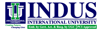 Indus International University